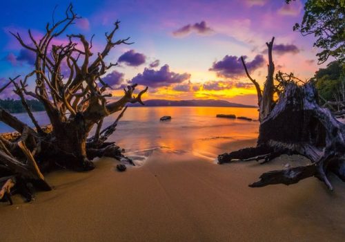 Chidiya Tapu, Andaman Package Tour