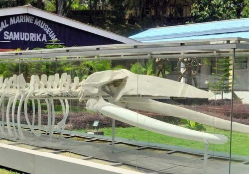 Samudrika Marine Museum